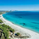 Bouganville *