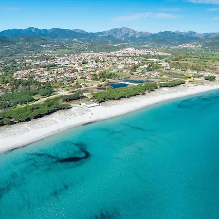 Bouganville
