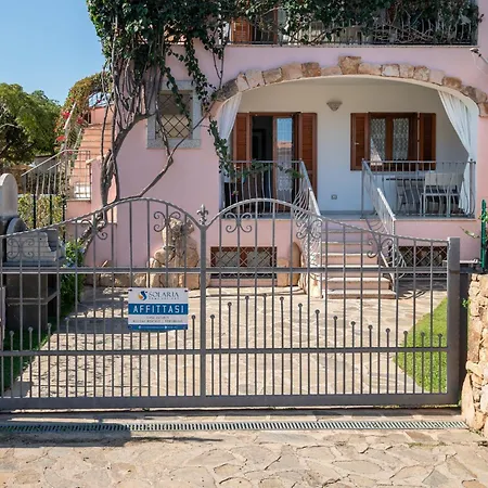 Bouganville * Budoni