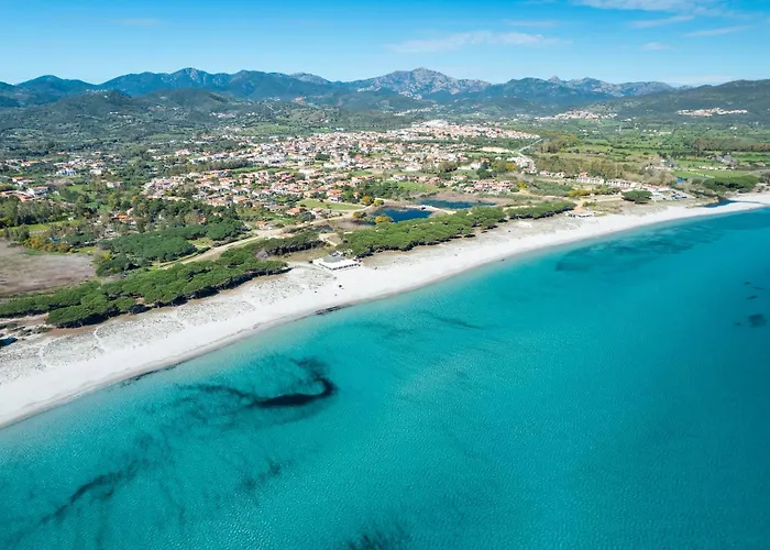 Bouganville